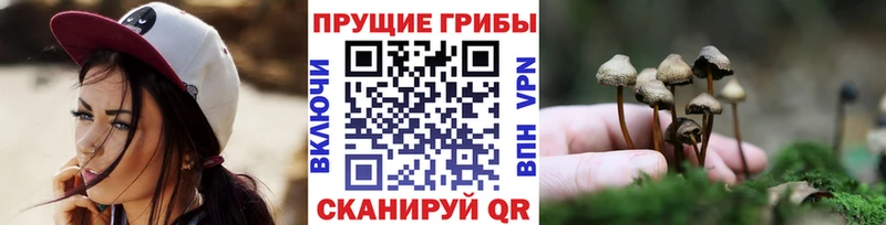 Галлюциногенные грибы Psilocybe  omg ссылки  Козьмодемьянск 