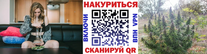 Бошки марихуана OG Kush  ссылка на мегу маркетплейс  Козьмодемьянск  как найти закладки 